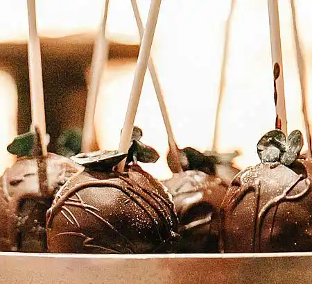 Schoko-Cake-Pops aus Tablett mit dunkler Schoko-Drip und Blätter-Deko.